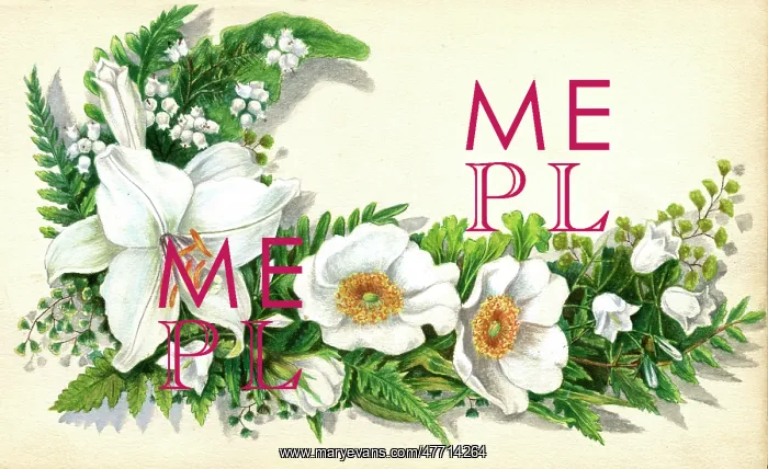 : Artwork by Florence Auerbach, white flowers : Artwork by Florence Auerbach, white flowers