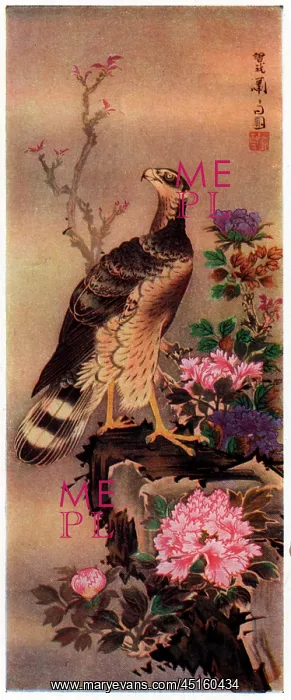 : Hawk. Artwork showing a magnificent hawk stood on a rocky ledge, with blooming pink : Hawk. Artwork showing a magnificent hawk stood on a rocky ledge, with blooming pink