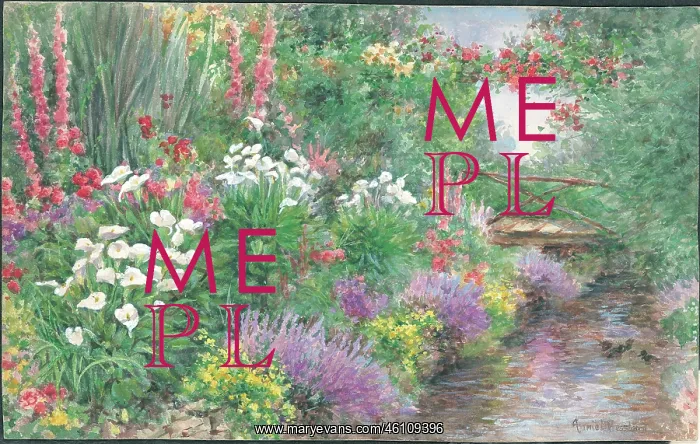 : Arums by the Stream : Arums by the Stream