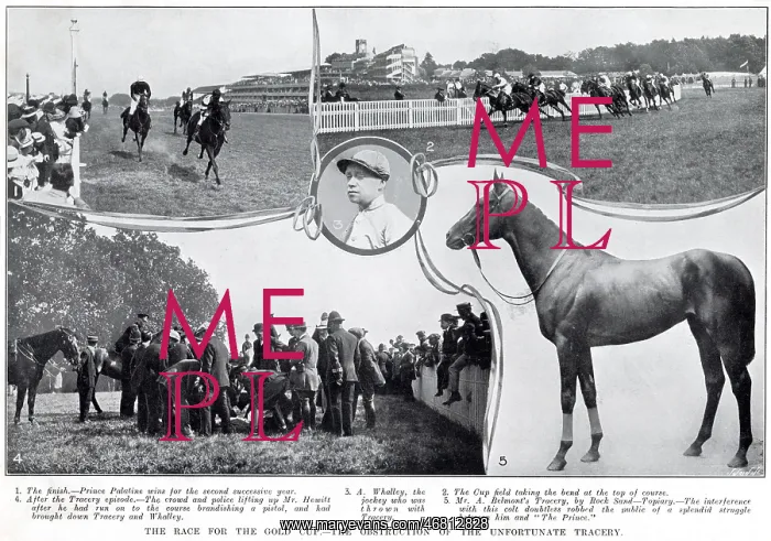: Ascot Gold Cup - obstruction of Tracery : Ascot Gold Cup - obstruction of Tracery
