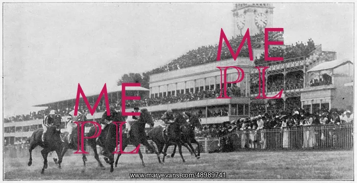 : Ascot Grandstand 1901 : Ascot Grandstand 1901