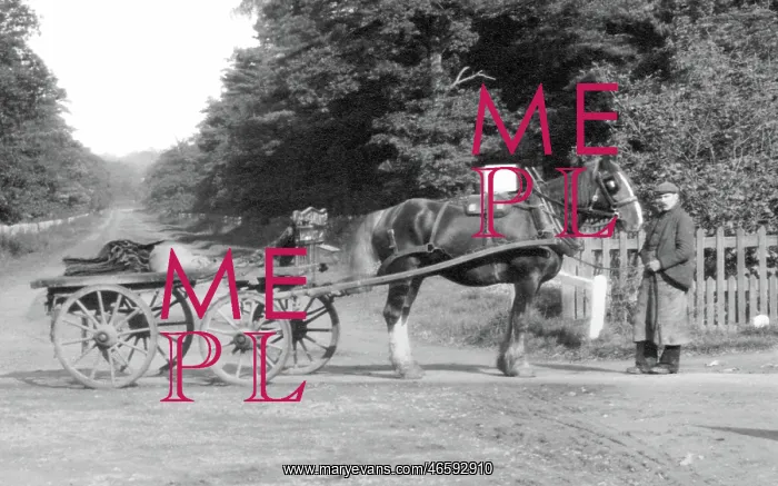 : Ascot, Horse and Cart 1906 : Ascot, Horse and Cart 1906