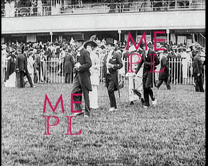 : Ascot Races : Ascot Races