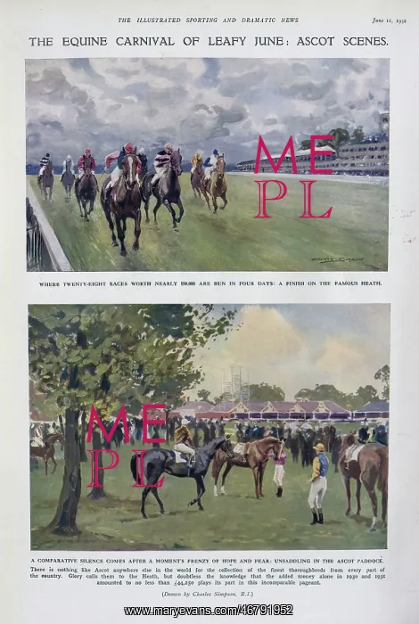 : Ascot Scenes : Ascot Scenes