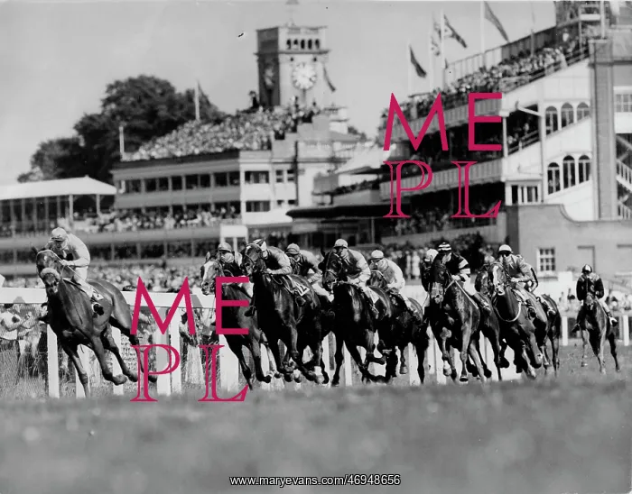 : The Ascot stakes : The Ascot stakes