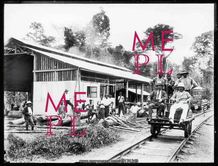  : ASHANTI SAW MILL / 1910