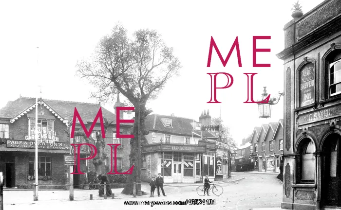  : Ashtead, Village 1913