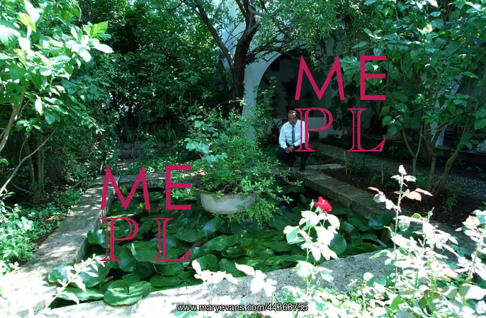: Asil Nadir In The Garden Of : Asil Nadir In The Garden Of