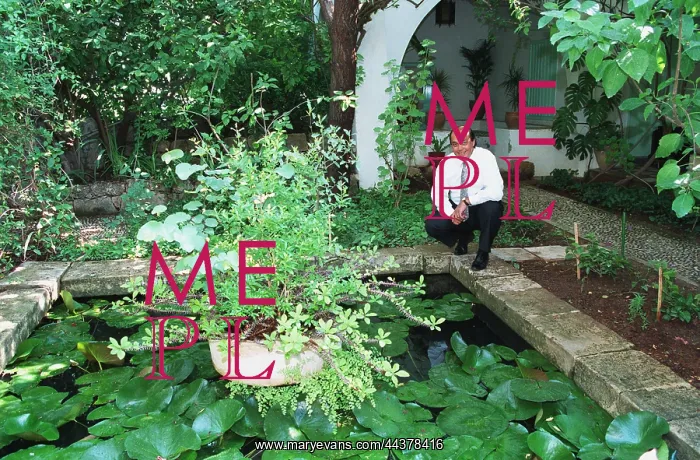 : Asil Nadir In The Garden Of : Asil Nadir In The Garden Of