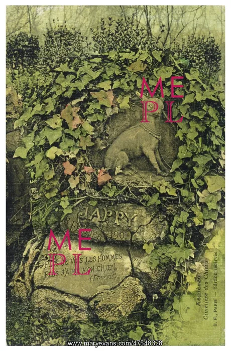  : ASNIERES - JAPPY GRAVE