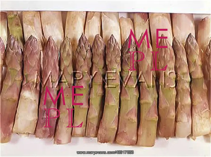 : ASPARAGUS. A close-up photograph of asparagus, a renowned aphrodisiac : ASPARAGUS. A close-up photograph of asparagus, a renowned aphrodisiac
