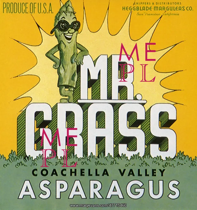 : Asparagus Man : Asparagus Man
