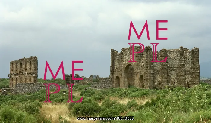  : Aspendos. The civil Basilica