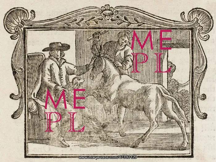 : THE ASS AND THE LAP-DOG : THE ASS AND THE LAP-DOG
