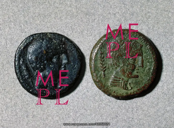 : Assarius. Adverse. Ibero-roman. Bronze. Head. Mint of Iltirc : Assarius. Adverse. Ibero-roman. Bronze. Head. Mint of Iltirc