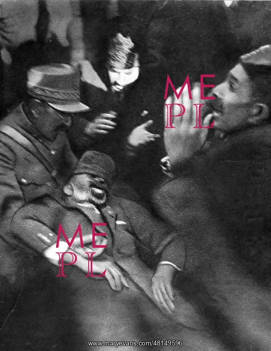 : The assassination of the Afghan King Nadir Shah, 1933 : The assassination of the Afghan King Nadir Shah, 1933