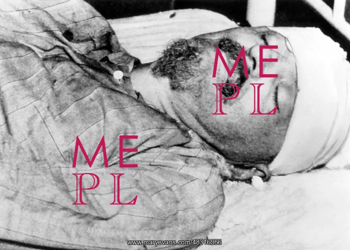 : Assassination of Leon Trotsky, 1940 : Assassination of Leon Trotsky, 1940