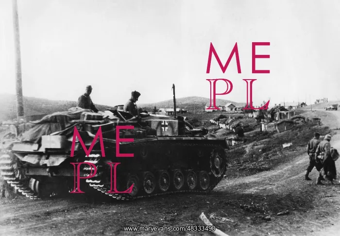 : Assault gun in the Malgobek in the Caucasus, 1942 : Assault gun in the Malgobek in the Caucasus, 1942