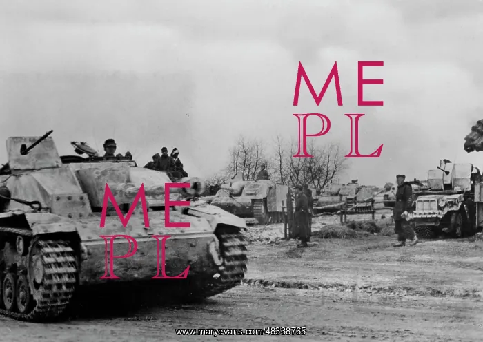 : Assault guns in Shytomyr, 1943 : Assault guns in Shytomyr, 1943