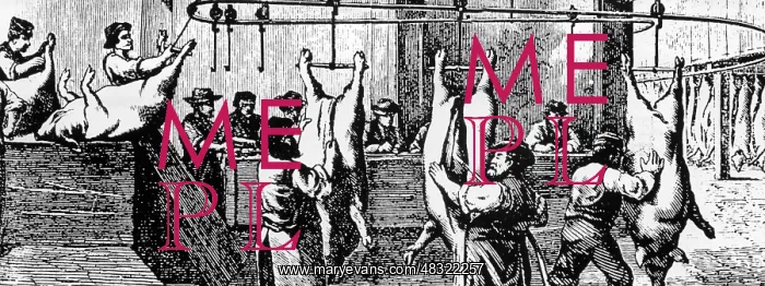 : Assembly line production in a Chicago slaughterhouse, 1873 : Assembly line production in a Chicago slaughterhouse, 1873