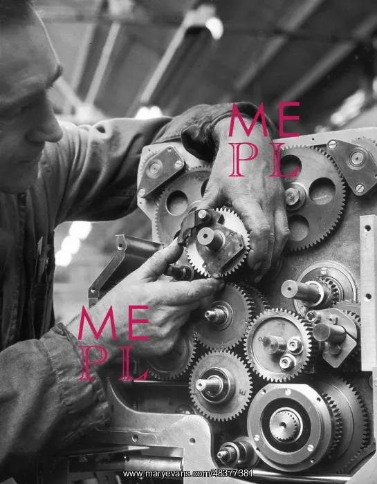 : Assembly of a Multi-cogged Machine : Assembly of a Multi-cogged Machine