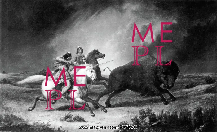: Assiniboine Indian Bison Hunt : Assiniboine Indian Bison Hunt