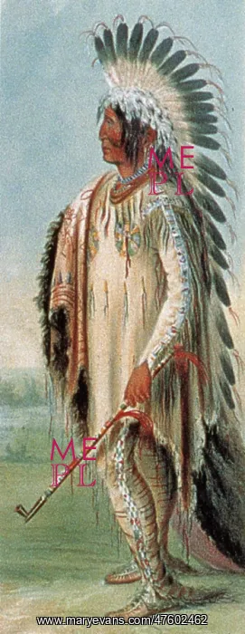 : Assiniboine Warrior, 1831 : Assiniboine Warrior, 1831