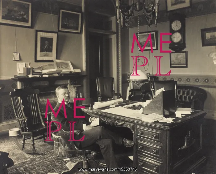 : Assistant Secretary of the Navy, Theodore Roosevelt : Assistant Secretary of the Navy, Theodore Roosevelt