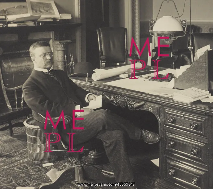 : Assistant Secretary of the Navy, Theodore Roosevelt : Assistant Secretary of the Navy, Theodore Roosevelt