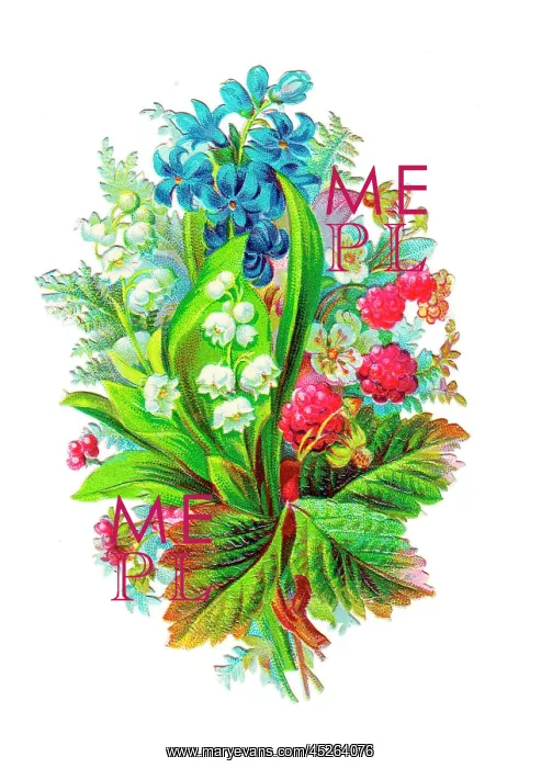 : Assorted flowers and fruit on a Victorian scrap : Assorted flowers and fruit on a Victorian scrap
