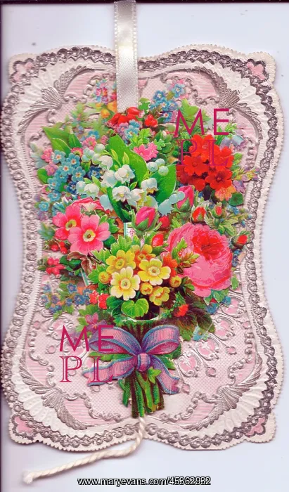: Assorted flowers on a greetings card : Assorted flowers on a greetings card