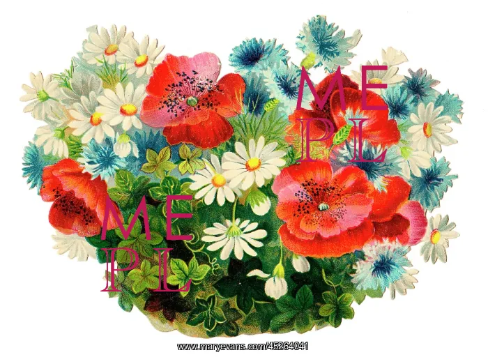 : Assorted flowers on a Victorian scrap : Assorted flowers on a Victorian scrap