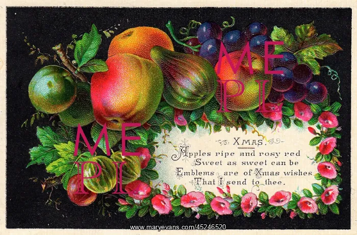  : Assorted fruit on a Christmas card