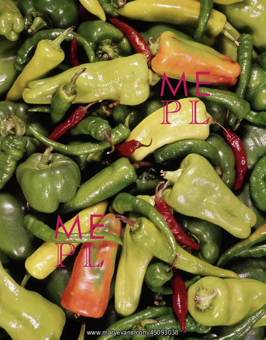 : Assorted Large and Small Red and Green Hot and : Assorted Large and Small Red and Green Hot and