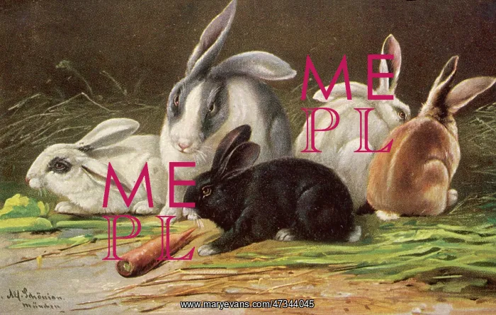  : ASSORTED RABBITS 1905