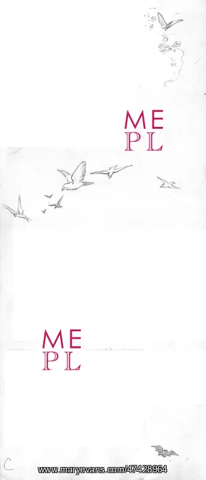 : An assortment of flying creatures : An assortment of flying creatures