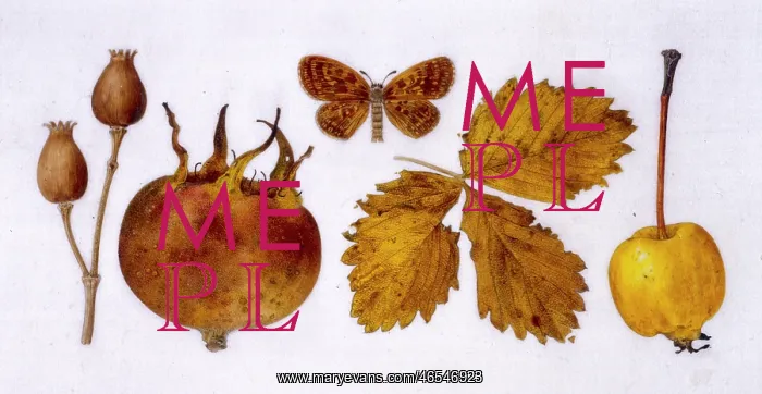 : Assortment of October items : Assortment of October items
