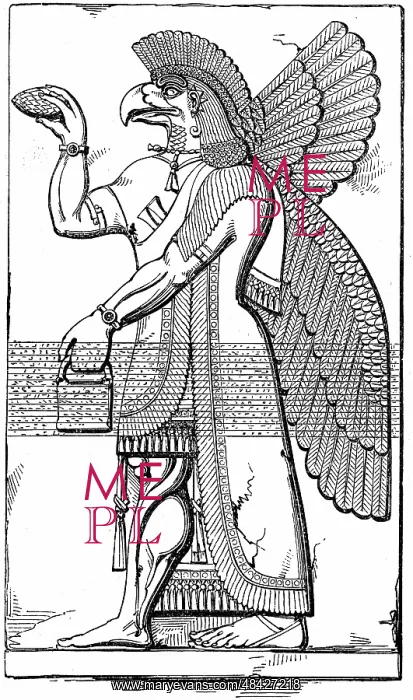 : Assyrian winged god Nisroch carrying the pine : Assyrian winged god Nisroch carrying the pine