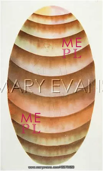 : Astral body: avaricious : Astral body: avaricious