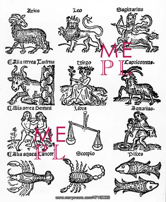 : ASTROLOGY / ZODIAC : ASTROLOGY / ZODIAC