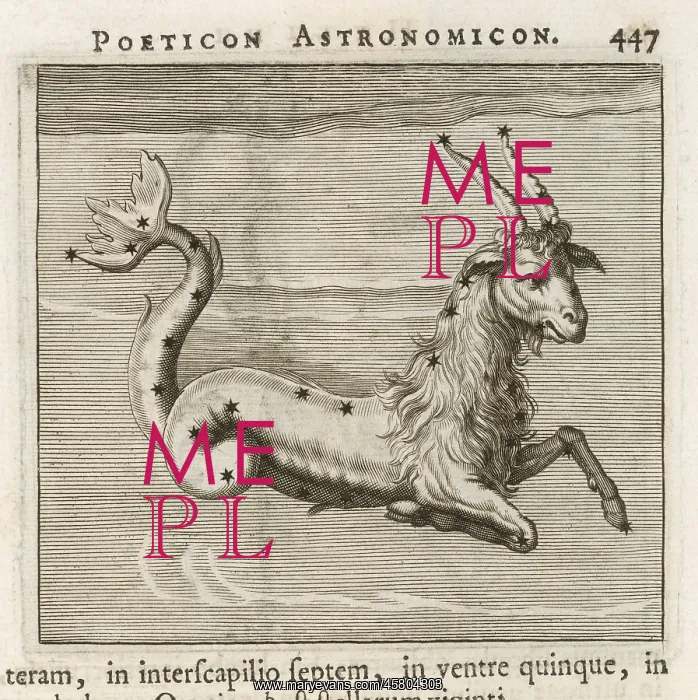 : Astrology - Zodiac - Capricorn : Astrology - Zodiac - Capricorn