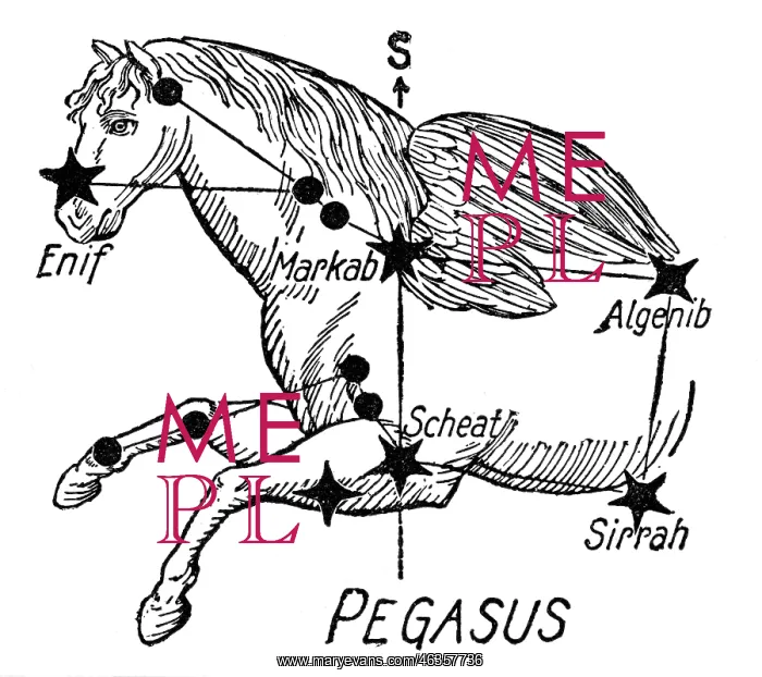 : astromomy, constellations, Pegasus, drawing : astromomy, constellations, Pegasus, drawing