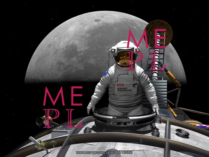 : An astronaut takes a last look at Earth before entering ? : An astronaut takes a last look at Earth before entering ?