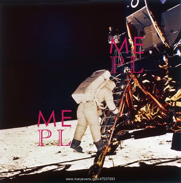 : ASTRONAUT:ALDRIN / 1969 : ASTRONAUT:ALDRIN / 1969