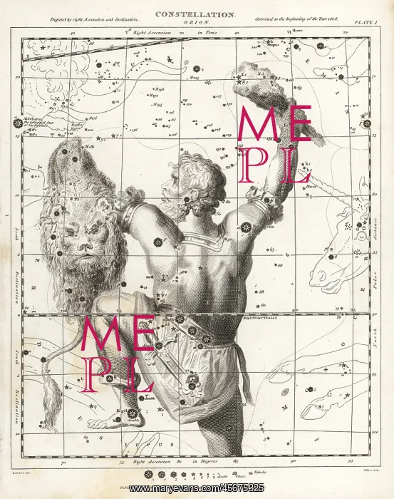 : Astronomical chart of the constellation of Orion : Astronomical chart of the constellation of Orion