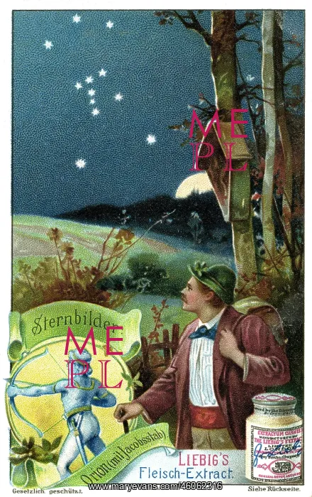 : astronomy, constellations, hiker looking at the : astronomy, constellations, hiker looking at the