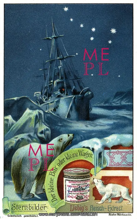 : astronomy, constellations, night at the Polar : astronomy, constellations, night at the Polar
