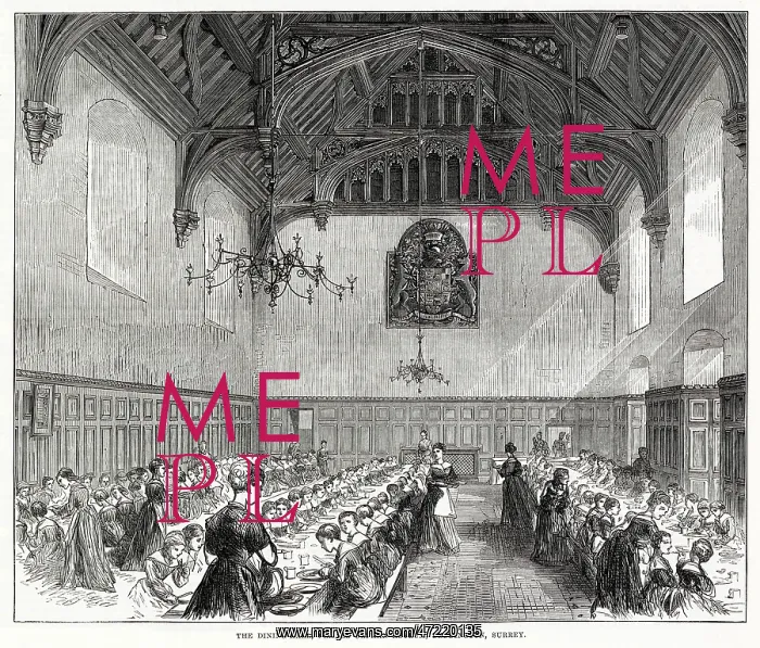 : Asylum for Female Orphans at Beddington 1875 : Asylum for Female Orphans at Beddington 1875