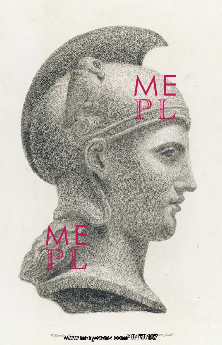: ATHENA / MINERVA BUST : ATHENA / MINERVA BUST