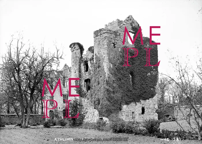 : Athlumney Castle, Navan : Athlumney Castle, Navan